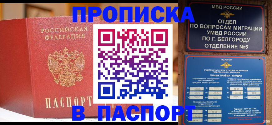 временная регистрация в квартире в Курганской области